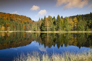 Lake and bog Lispach autumn - Vosges France