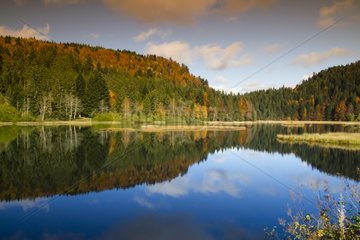 Lake and bog Lispach autumn - Vosges France