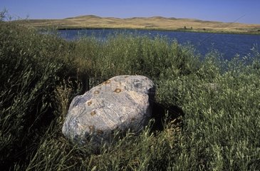 Glacial Rock isolated in meadows Saskatchewan Canada
