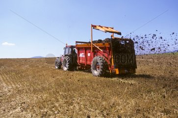 Manure spreading on a field