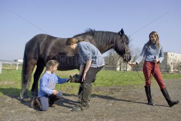 Drei Mädchen kümmern sich um ein Merens Horse Frankreich