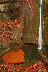 Fall leaves swirling at the foot of a waterfall Switzerland