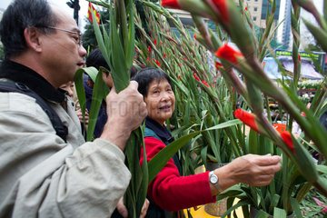 flower market during Chinese new year  Hongkong