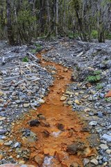 Stream loaded metal oxides - Patagonia Chile