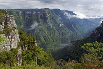 Canyon Fortaleza - Serra Geral NP Brazil