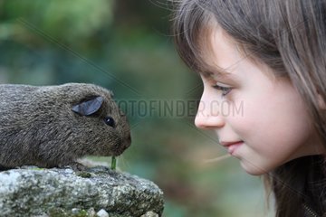 Girl observing a Guinea Pig eating France