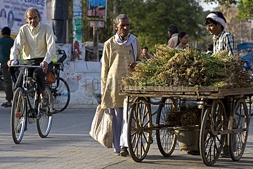 Food herbs salesman in a street Uttar Pradesh