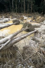 Illegal gold washing site French Guiana