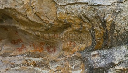 Cave paintings Valonsadero Mountain Spain