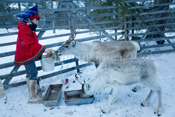 sami boy in lapland (Finland)