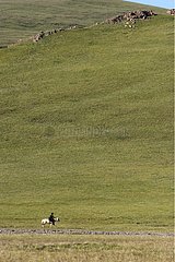 Nomadic horseman on a road near lake Son Kul Kyrgyzstan