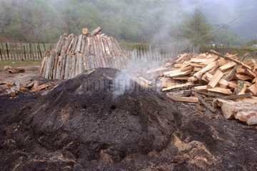 Meule de charbon de bois avril Roumanie