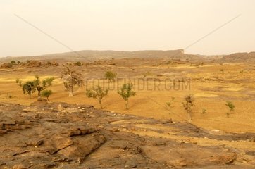 Sandy plain of Dogon Country Mali
