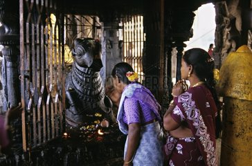 Nandi statue and women Tamil Nadu India