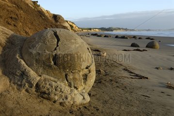 Hemispheric rock on a beach of the Otago New Zealand