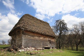 Cow-shed barn 200 years old Apuseni Mountains Romania