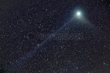 Comète Machholtz et ses queues de plasma bien visibles