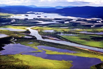 Landscape swampy Delta of the Rapa Sarek Lapland