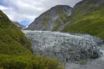 Franz Josef Glacier Southern Alps New Zealand