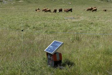 Batterie für einen elektrischen Zaun  der von Solarpanel Frankreich angetrieben wird