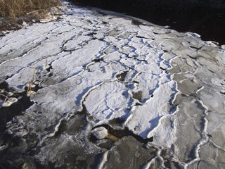 Ice forming lakeside Wapizagonke Quebec Canada