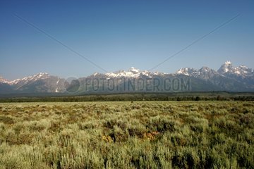 Teton Range in NP of Grand Teton USA