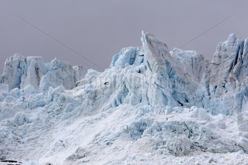 Risting Glacier in the Drygalski fjord South Georgia