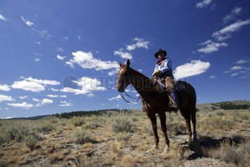 Cow-boy with horse in the meadow Oregon the USA