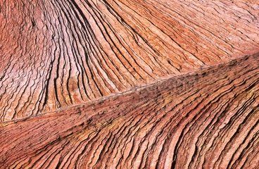 Red sandstone layers in the National park of Zion Utah the USA