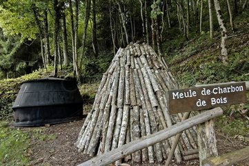 Meule de charbon de bois PNR Ballons des Vosges
