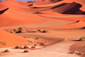 Landscape of dunes with Sossusvlei at the end of the day