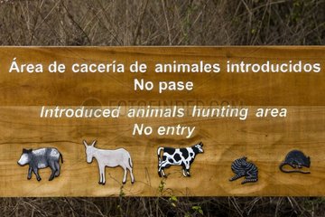 Sign area for hunting animals entering
