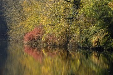 Autumn reflections on the Doubs at Pont de Roide Doubs
