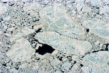 Collapse of ice-floe Lancaster Strait Arctic