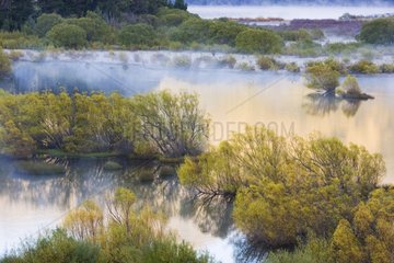 Glenorchy Lagoon in morning fog after night frost NewZealand