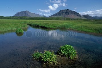 Tourbière et montagnes volcaniques Islande