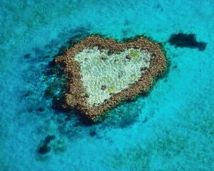Heart-shaped coral reef Australia