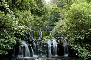 Purakaunui falls in wet forest New Zealand