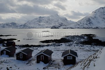 Landscape in Lofoten archipelago Norway