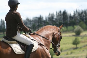 Rider on horseback during a horse show Lozere France