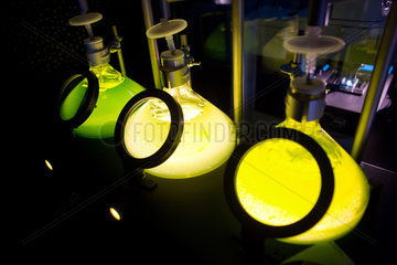 Micropia is a chemistry museum for kids in Holland