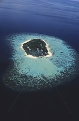 Aerial view of an atoll Maldives Indian Ocean