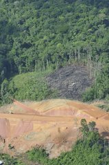 Road construction and burning in primary forest Guyana