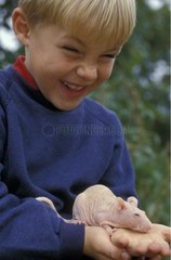 Enfant tenant un rat sans poil dans sa main France