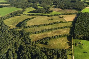 Landscape of wood and hedged farmlands in Corrèze France