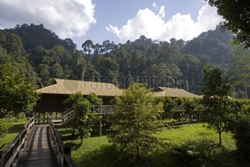 Forest lodge in the tropical forest Borneo