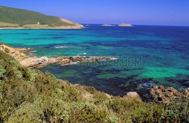 Bucht von Tamarone in der Nähe der Finocchiarola -Inseln in Corse Frankreich