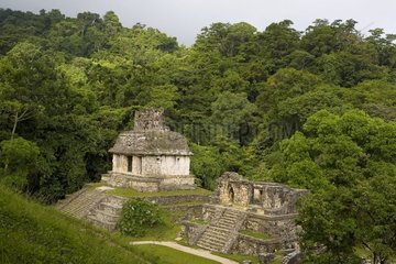 Summit of a Maya pyramid Mexico