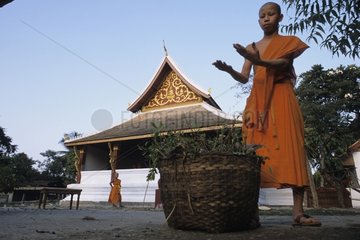 Young novice cleaning at the monastery of Luang Prabang Laos