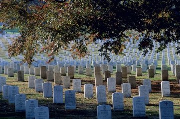 Washington D. C  cimetière militaire d'Arlington.